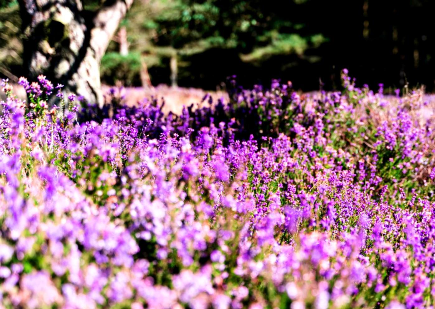 Small group floristry masterclass in progress with individual attention
